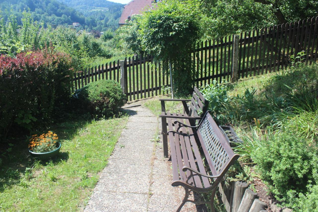 Ferienwohnung Privat Zelezny Brod Exterior foto